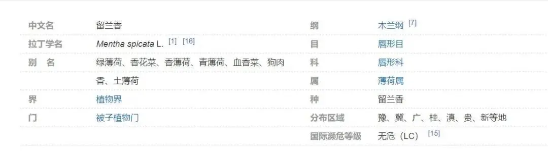 留兰香和薄荷不一样的感觉-神人佛-善无痕蛇无泪