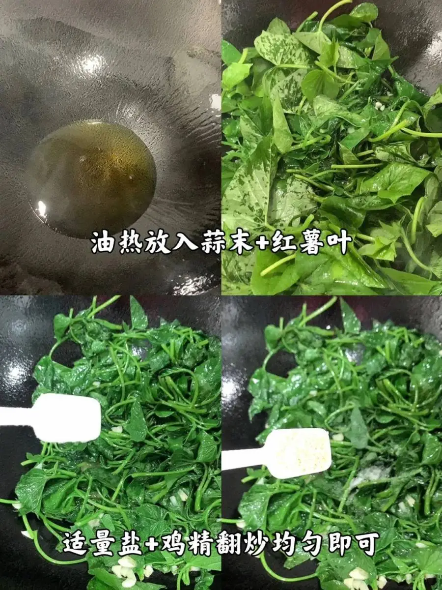 图片[9]-4种青菜是“催屎之王”，建议隔差三五吃，便便好顺畅，肠道舒服了，身体自然好-神人佛-善无痕蛇无泪