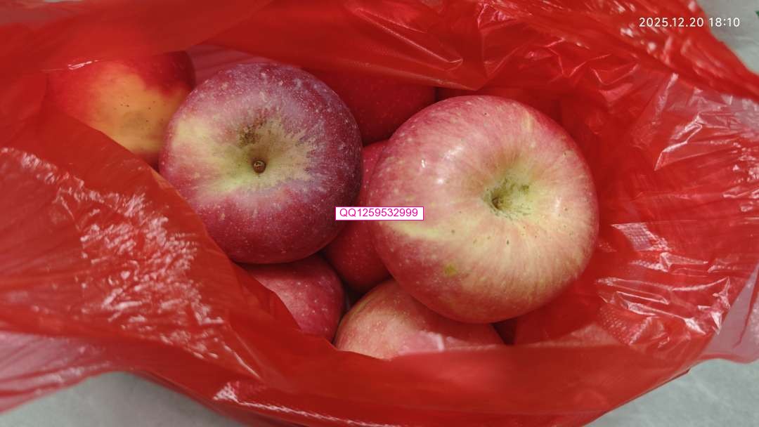 袋中苹果里的烟火与诗意-神人佛-善无痕蛇无泪