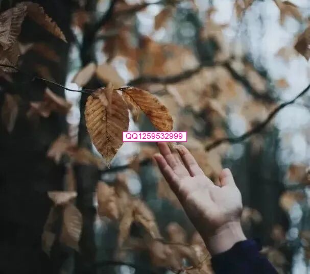 终身受益的五句话！-神人佛-善无痕蛇无泪