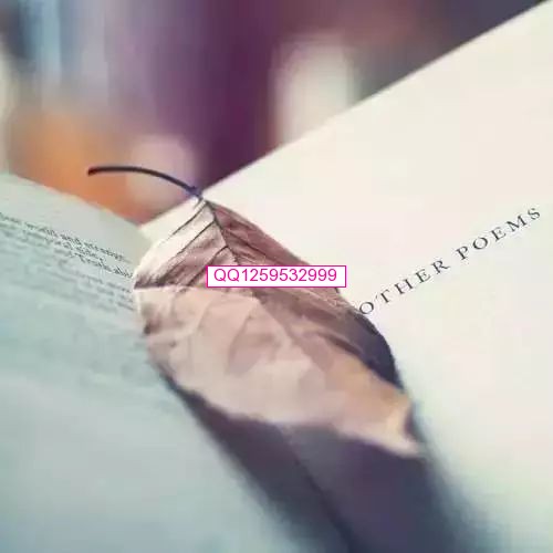 惊人的社会定律 （精辟）-神人佛-善无痕蛇无泪