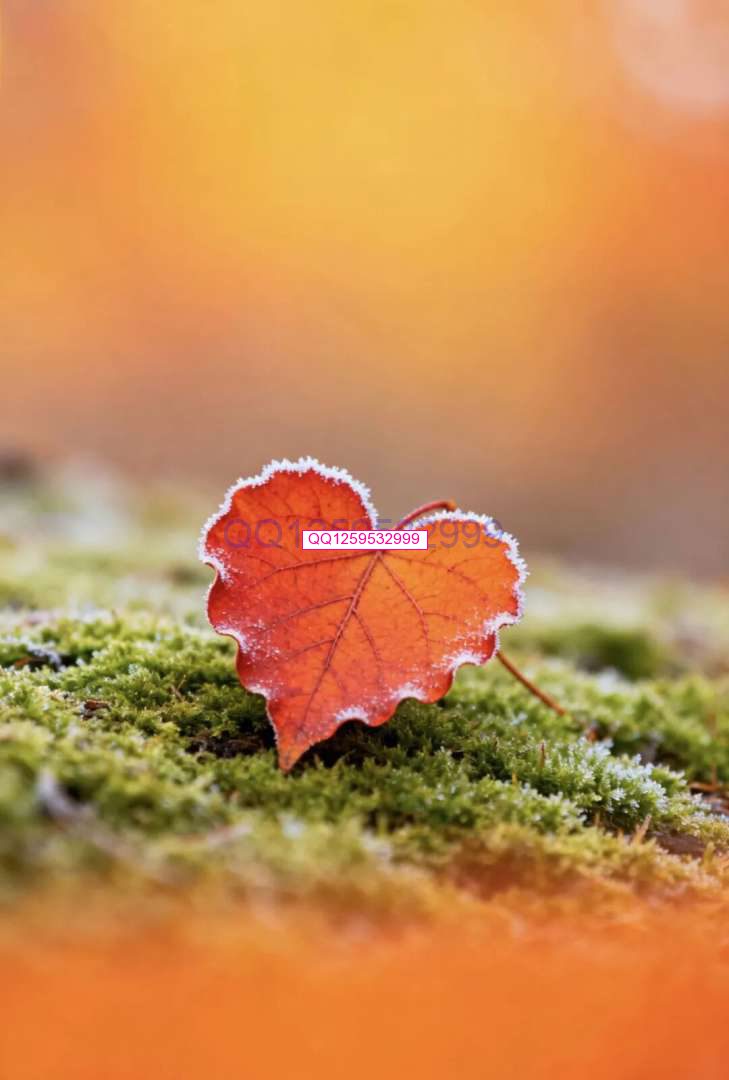 “男人无能，一看便知”：没出息的男人，离不开这三句话-神人佛-善无痕蛇无泪