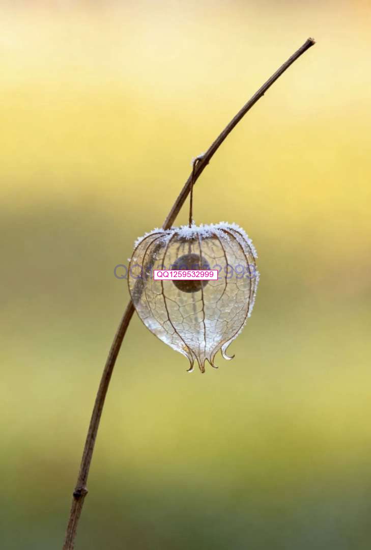 图片[4]-“男人无能，一看便知”：没出息的男人，离不开这三句话-神人佛-善无痕蛇无泪