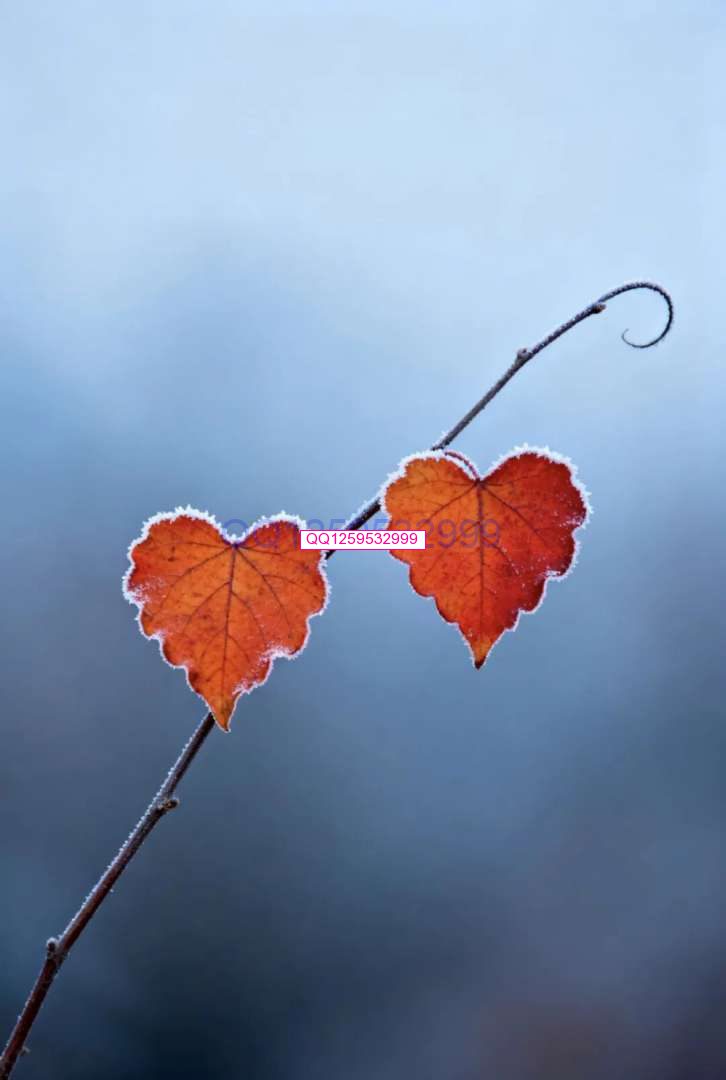 图片[2]-“男人无能，一看便知”：没出息的男人，离不开这三句话-神人佛-善无痕蛇无泪