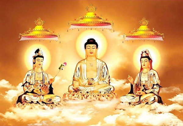 39a7b950bbc97a5bcdcf2abb6b684629